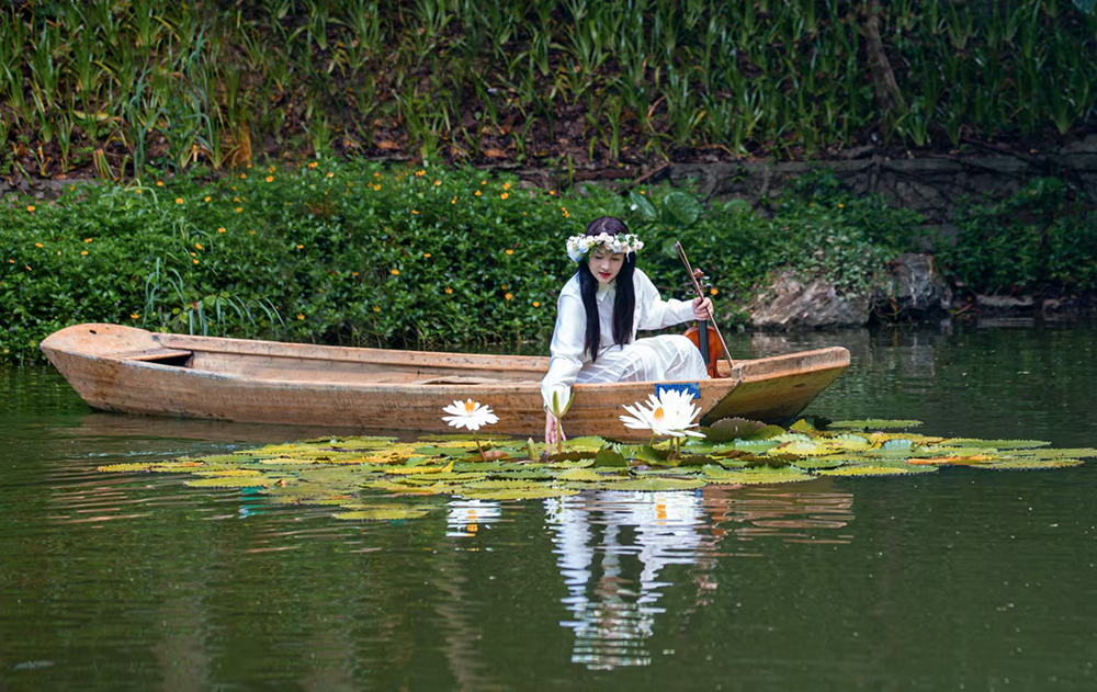 杨海伦