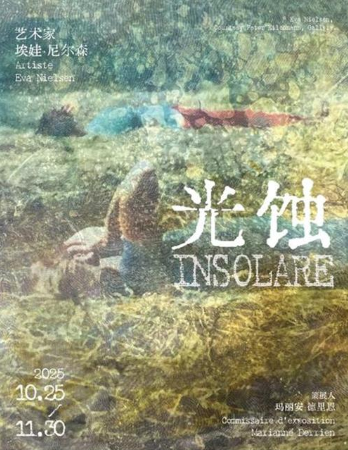 埃娃·尼尔森:光蚀